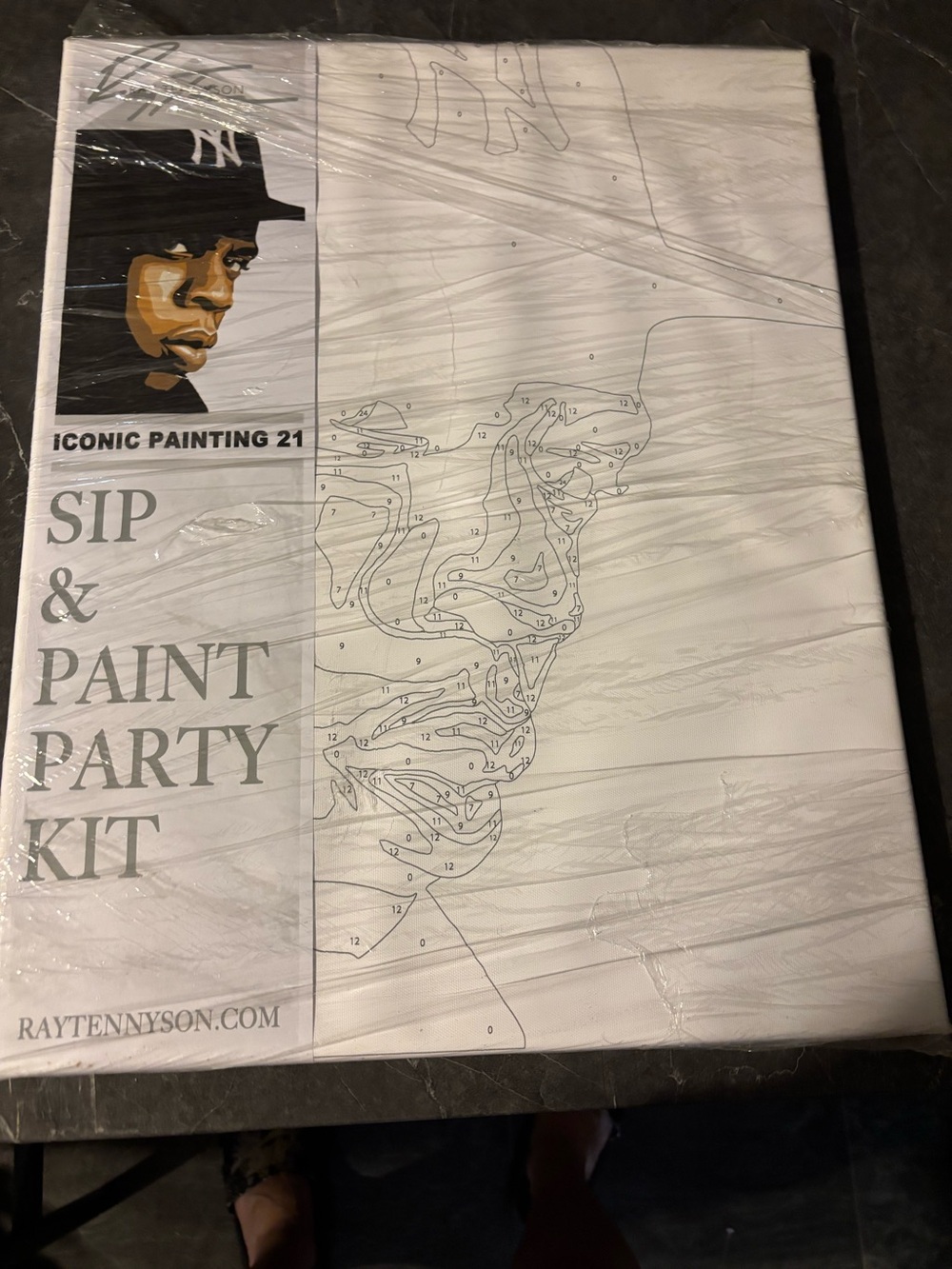 Sip & Paint Party Kit - White Canvas (Iconic Painting 21)